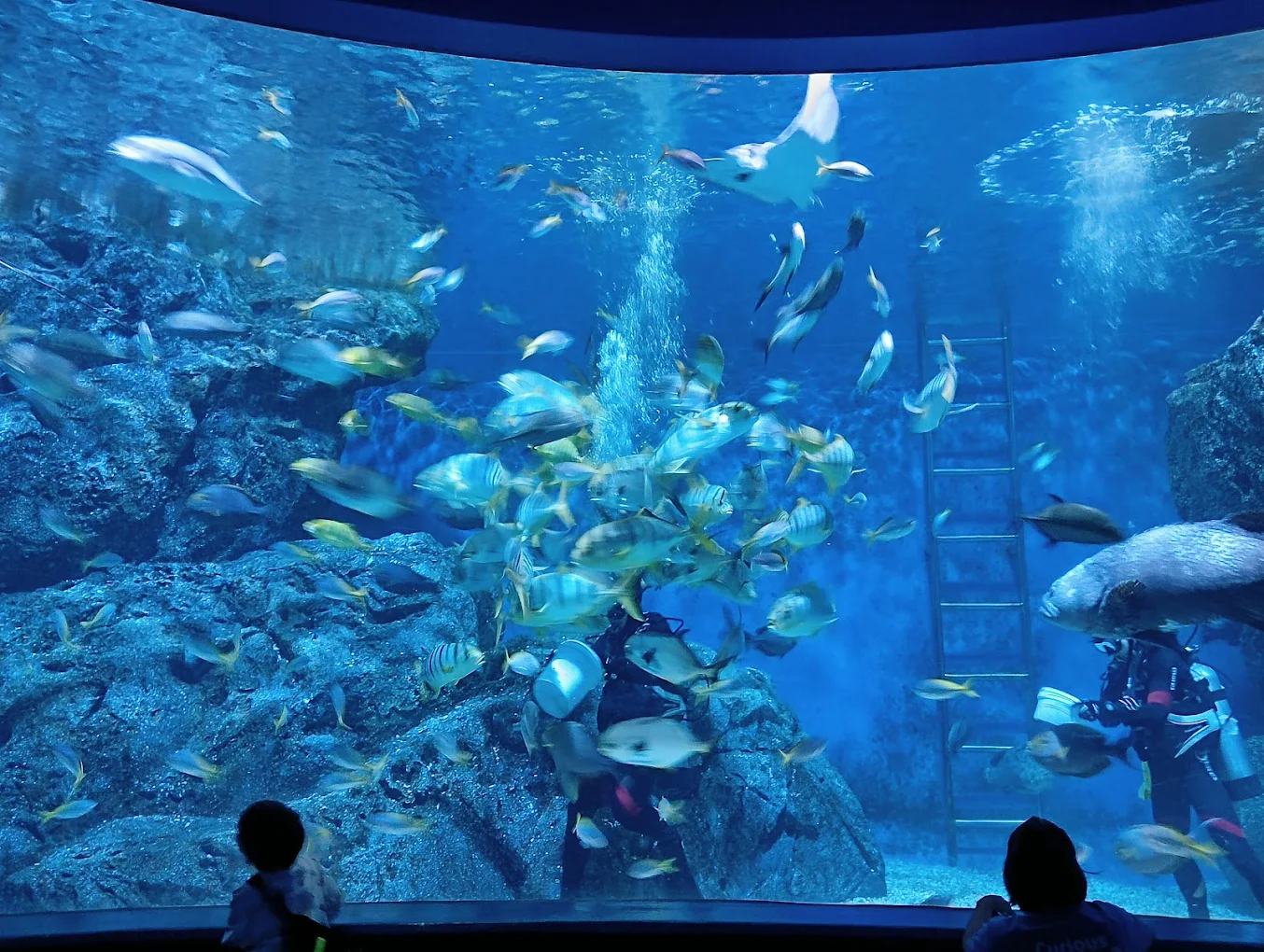 SEA LIFE Bangkok Ocean World Tickets