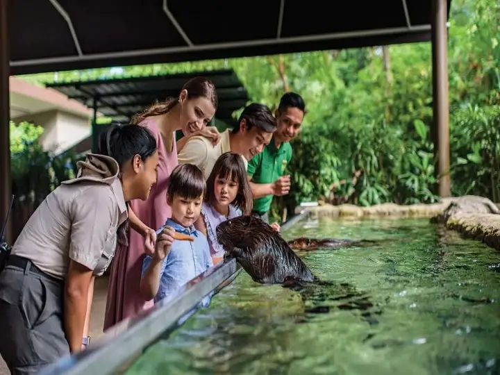 Singapore Zoo Admission Ticket
