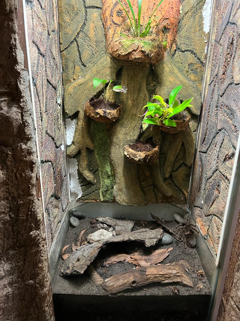 Entopia Penang Butterfly Farm Admission Pass
