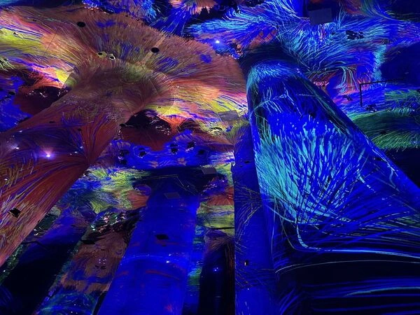 TeamLab Phenomena Abu Dhabi Tickets