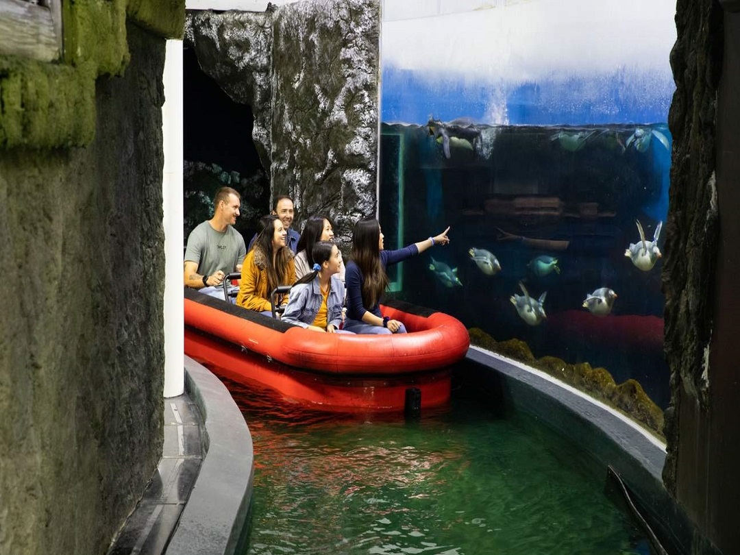 SEA LIFE Sydney Aquarium General Tickets