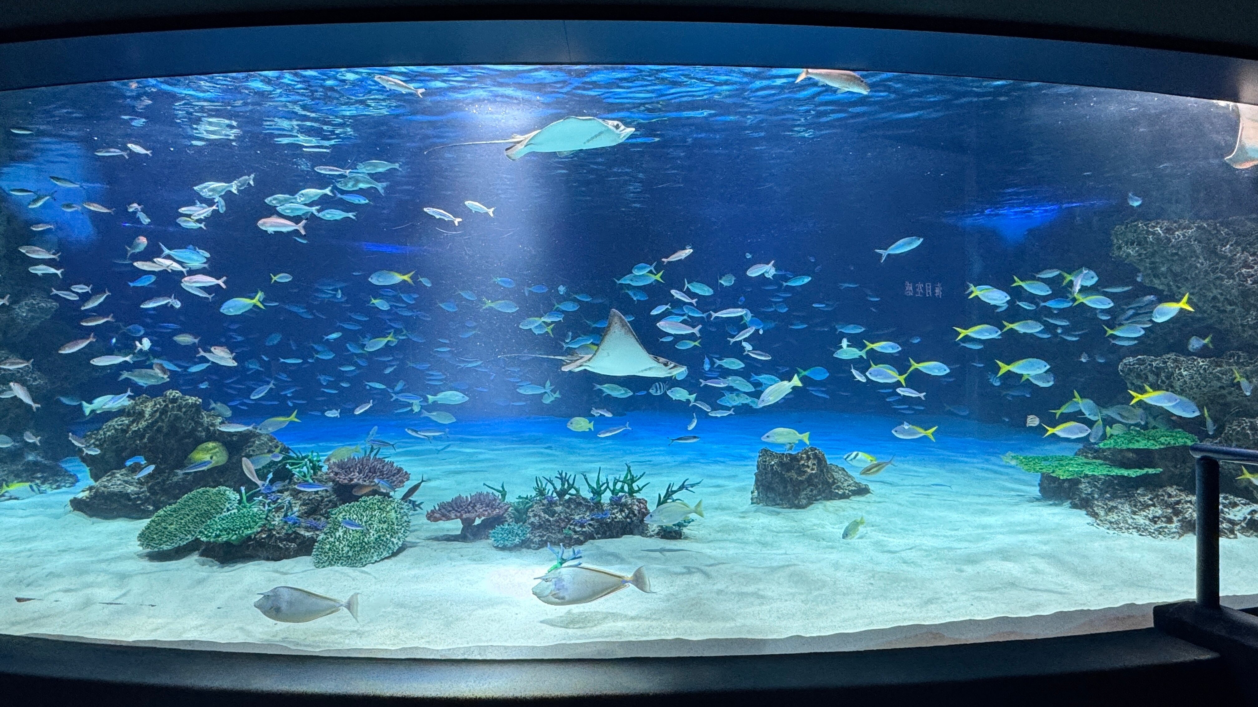 Sunshine Aquarium Admission Tickets