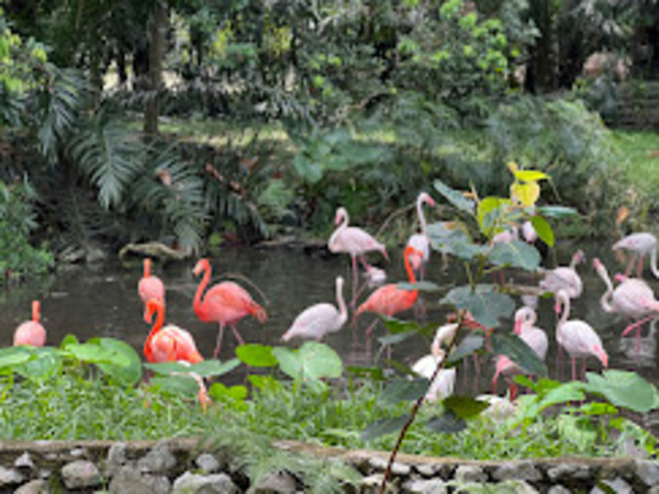 Zoo Negara Malaysia Entry Ticket