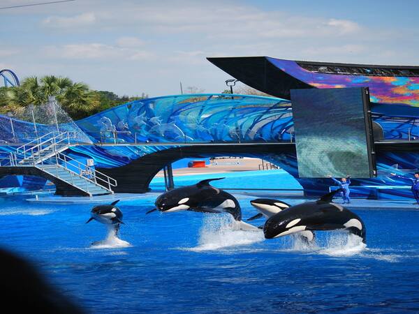 SeaWorld Orlando Admission Ticket