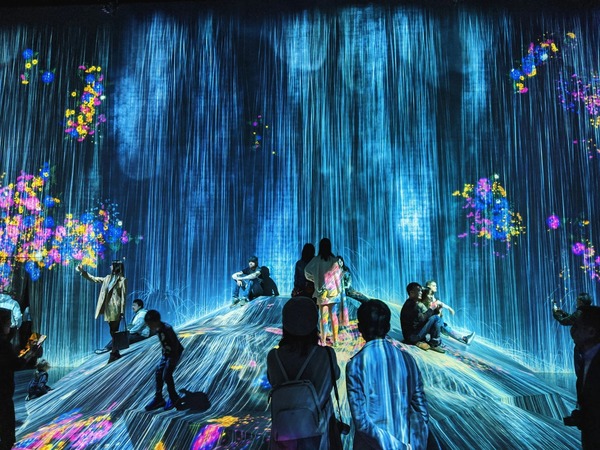 teamLab BioVortex Kyoto Tickets