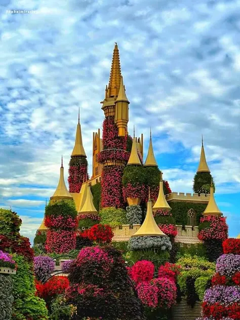 Dubai Miracle Garden Tickets