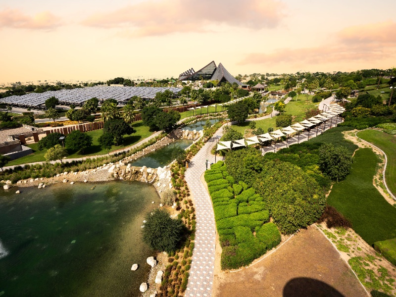 Dubai Safari Park Entry Ticket