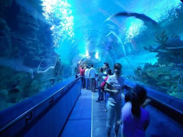 Aquaria KLCC General Admission Ticket
