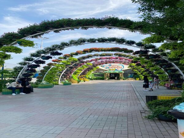 Dubai Butterfly Garden Entry Tickets
