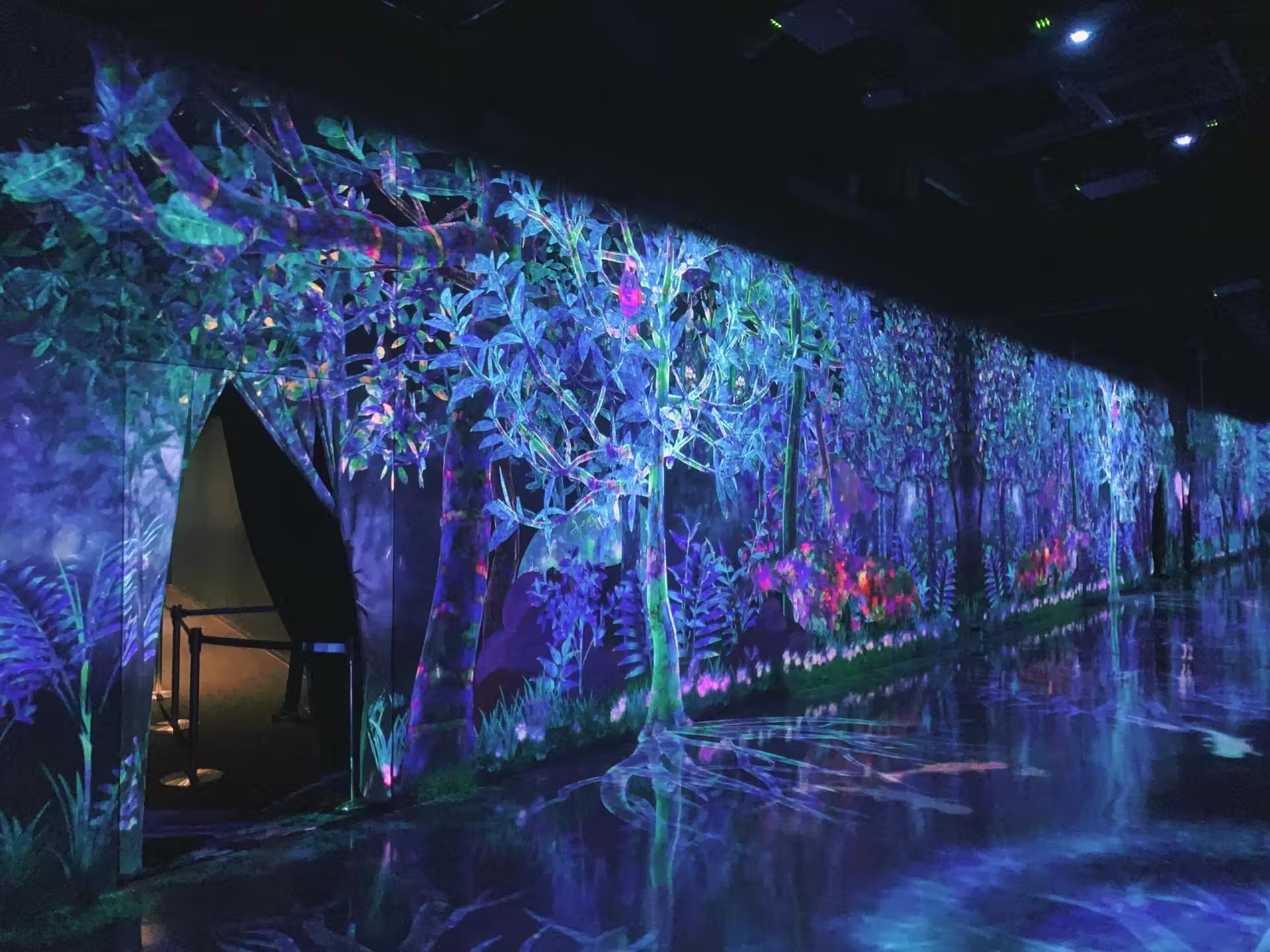 teamLab Forest (Fukuoka)