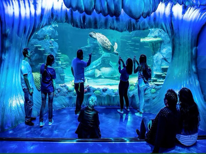 SEA LIFE Sydney Aquarium General Tickets