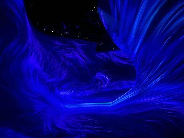 TeamLab Phenomena Abu Dhabi Tickets