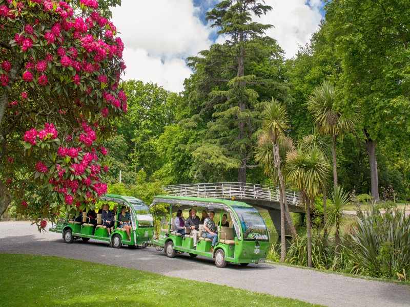 Christchurch Gondola Tickets