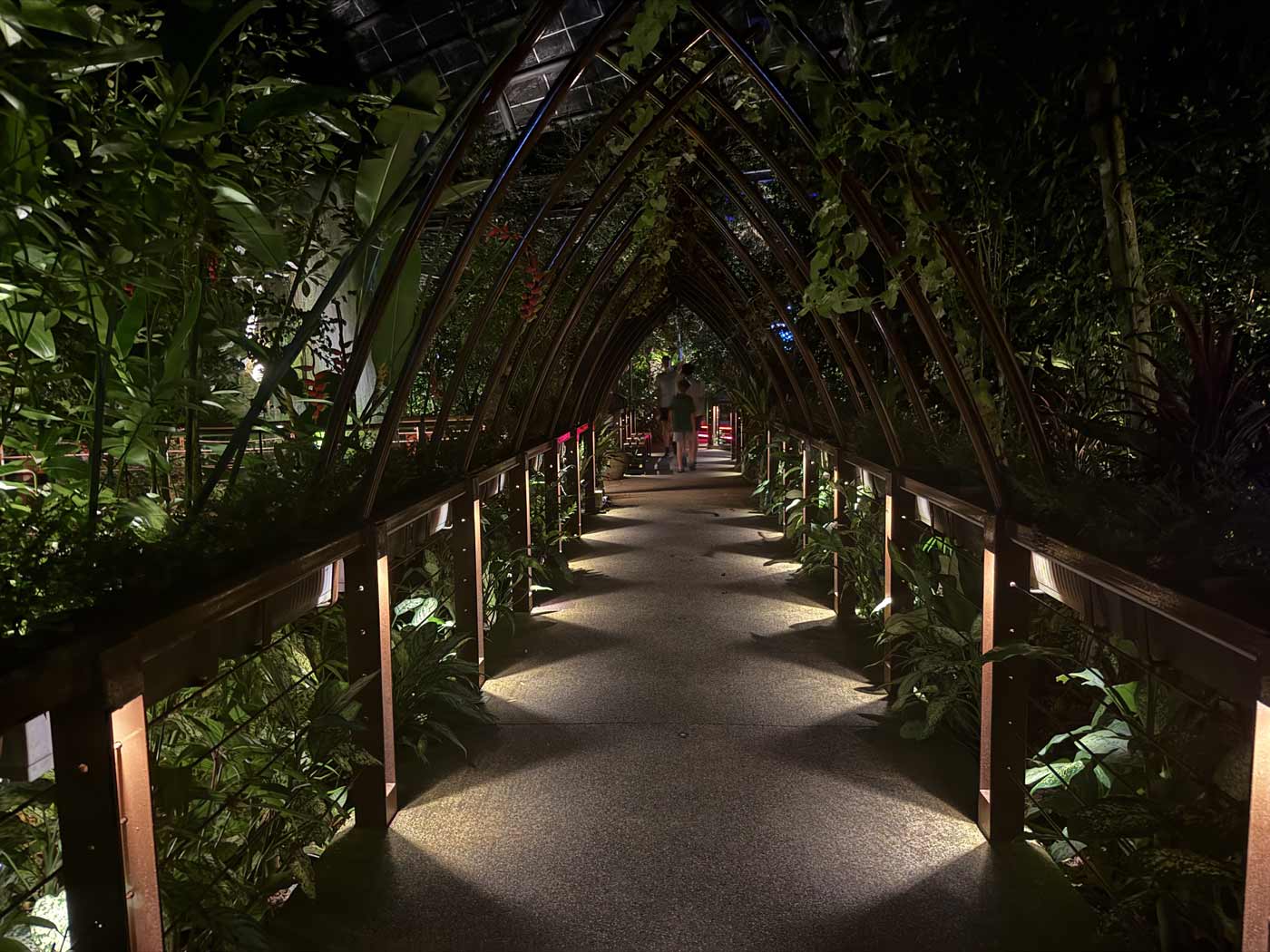 Entopia Penang Butterfly Farm Admission Pass