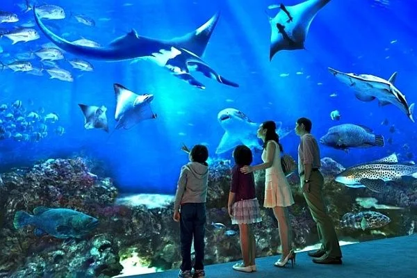 Singapore Oceanarium Pass