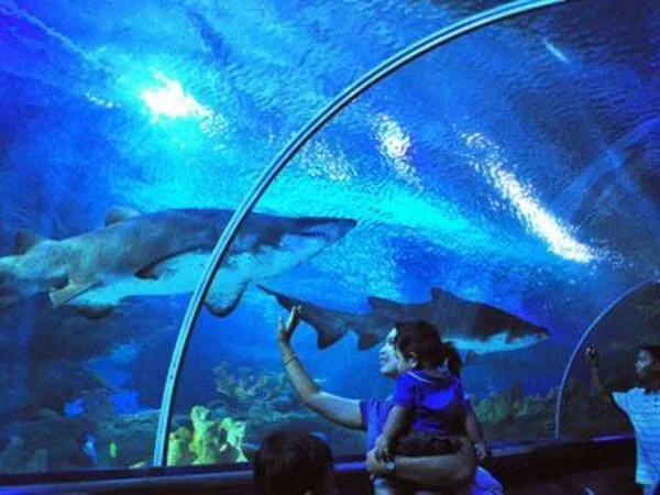 Aquaria KLCC General Admission Ticket