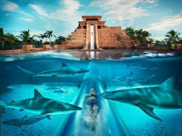 Aquaventure Waterpark Dubai Entry Ticket