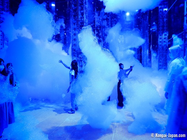 teamLab BioVortex Kyoto Tickets
