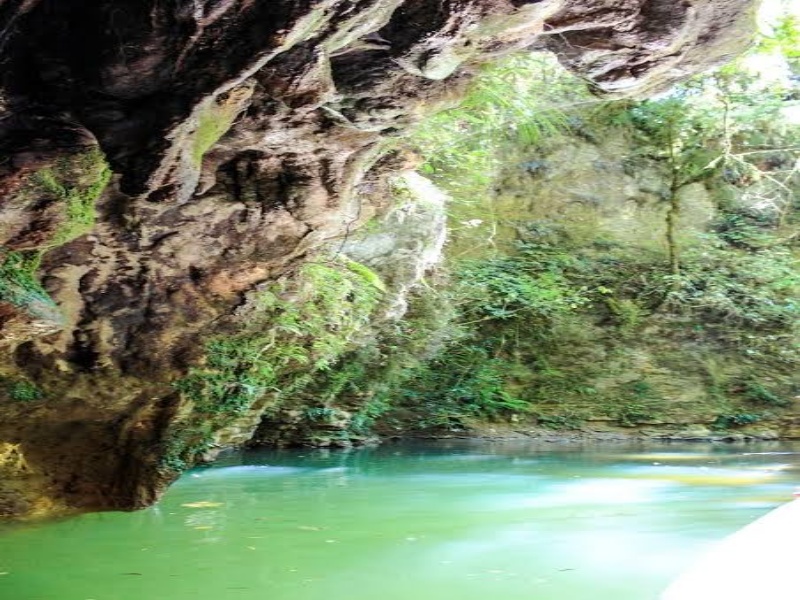 Waitomo Glowworm Caves Guided Tour
