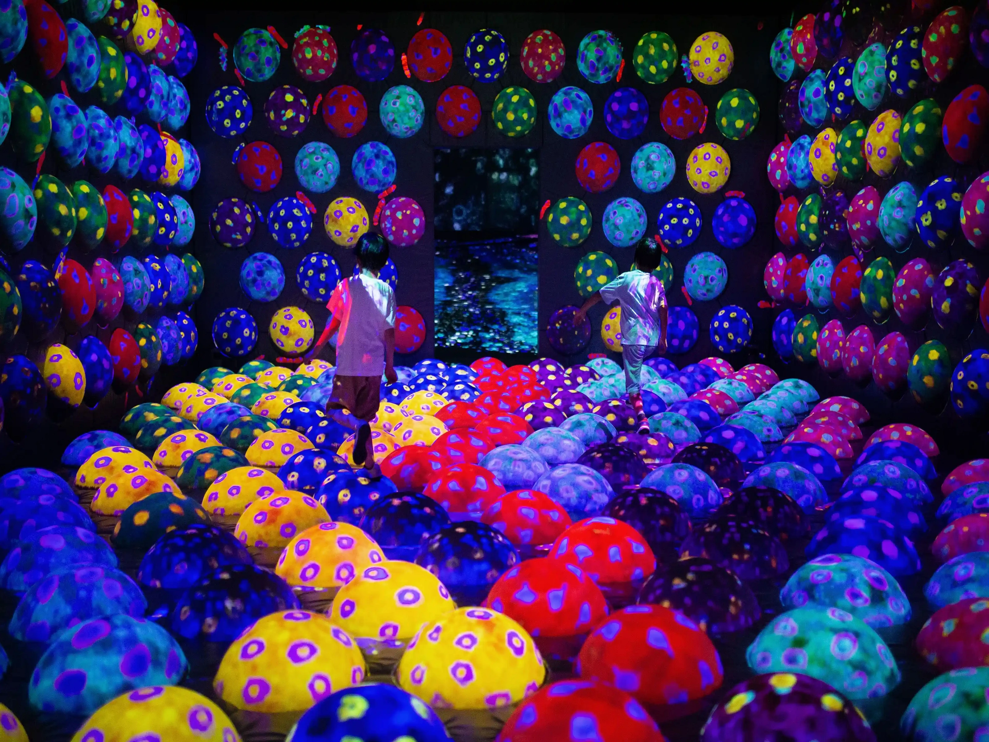 teamLab Borderless TOKYO Ticket