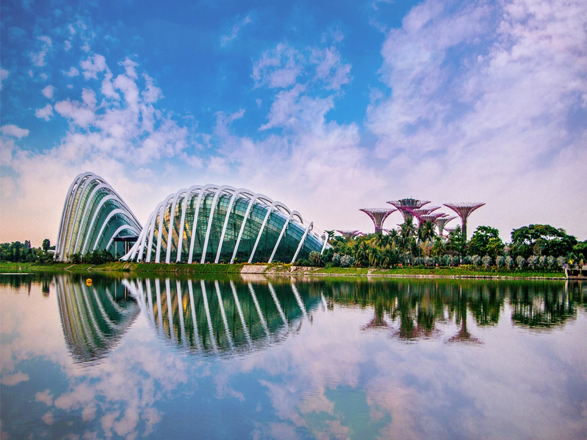 Cloud Forest Gardens by the Bay Entry Ticket