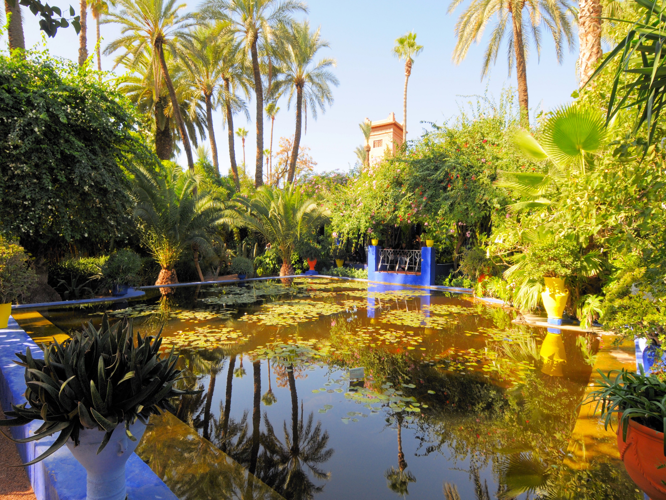 Jardin Majorelle Marrakech Entry Ticket