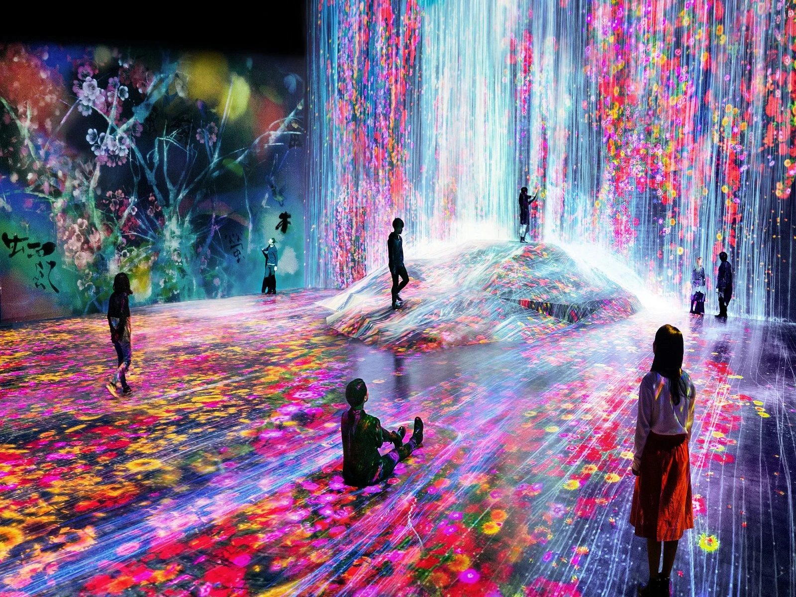 teamLab Borderless TOKYO Ticket