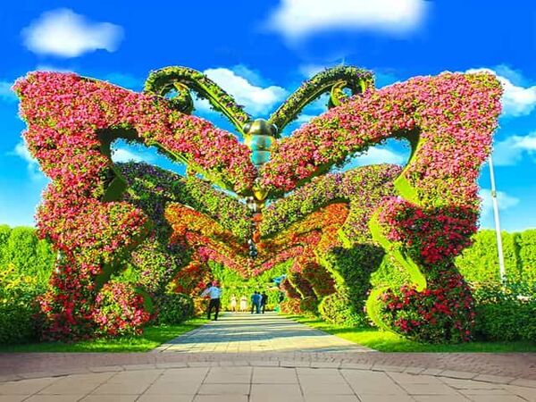 Dubai Butterfly Garden Entry Tickets
