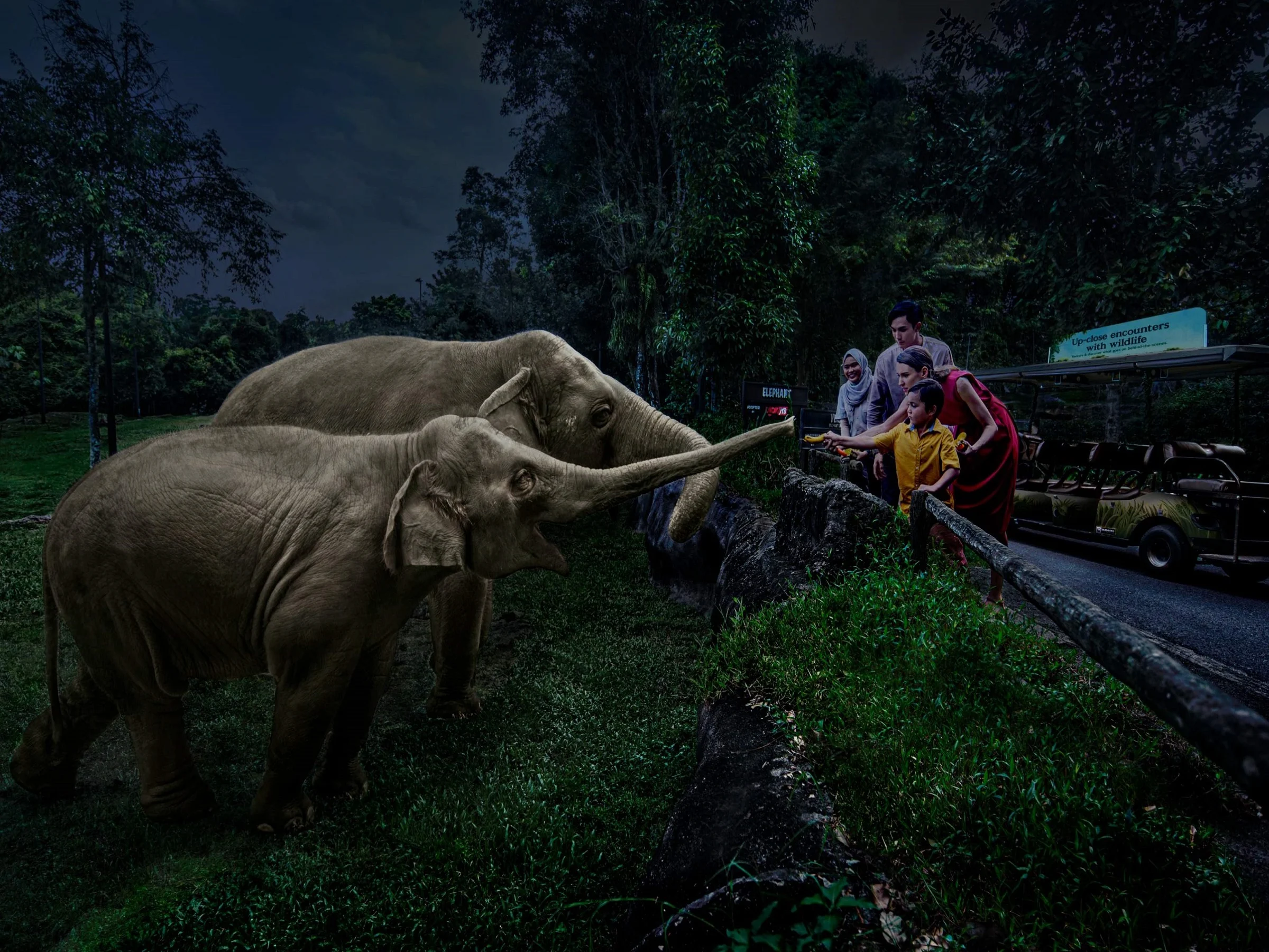 Singapore Night Safari Admission Ticket