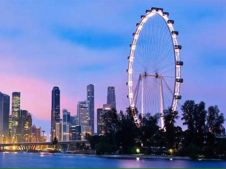 Singapore Flyer Entry Ticket with Time Capsule