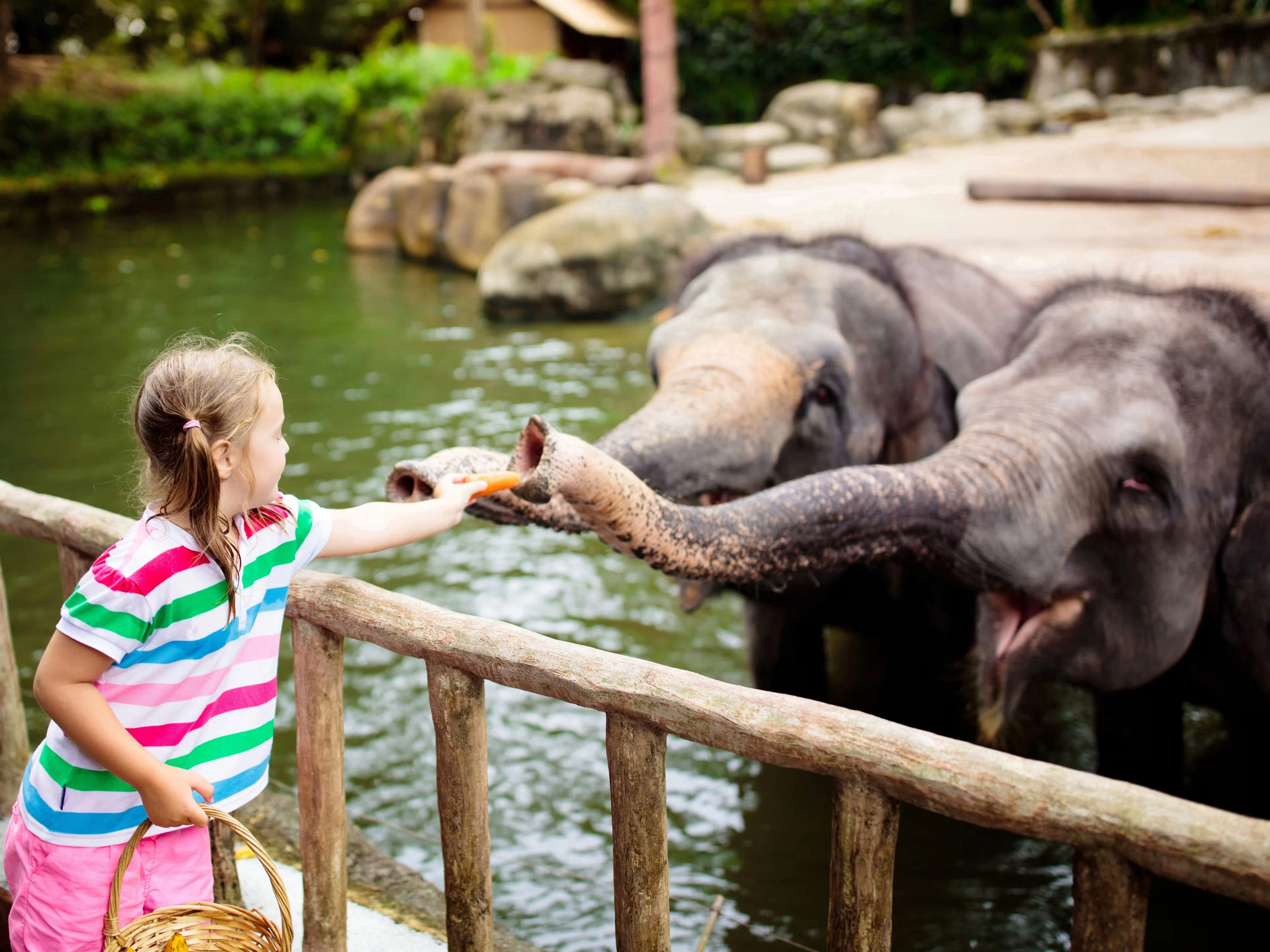 Singapore Zoo Admission Ticket