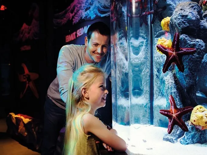 SEA LIFE London Aquarium Entry Ticket