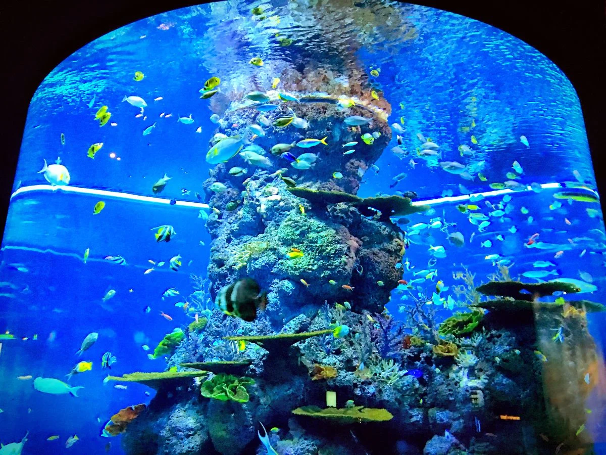 Singapore Oceanarium Pass