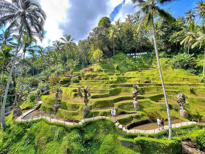 Alas Harum Bali Terrace General Entry Ticket
