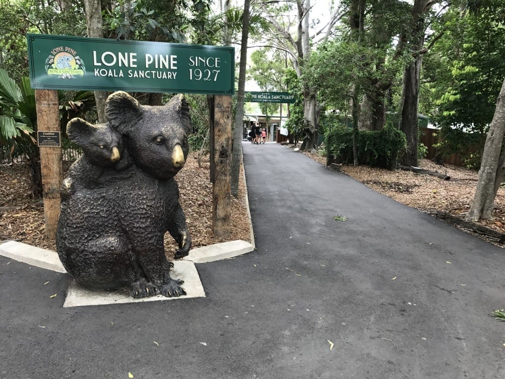 Lone Pine Koala Sanctuary General Entry Ticket