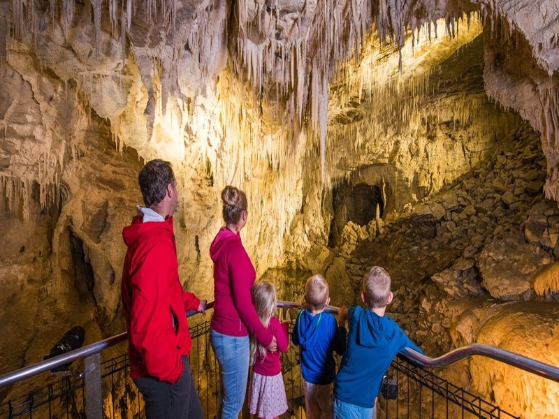 Waitomo Glowworm Caves Guided Tour