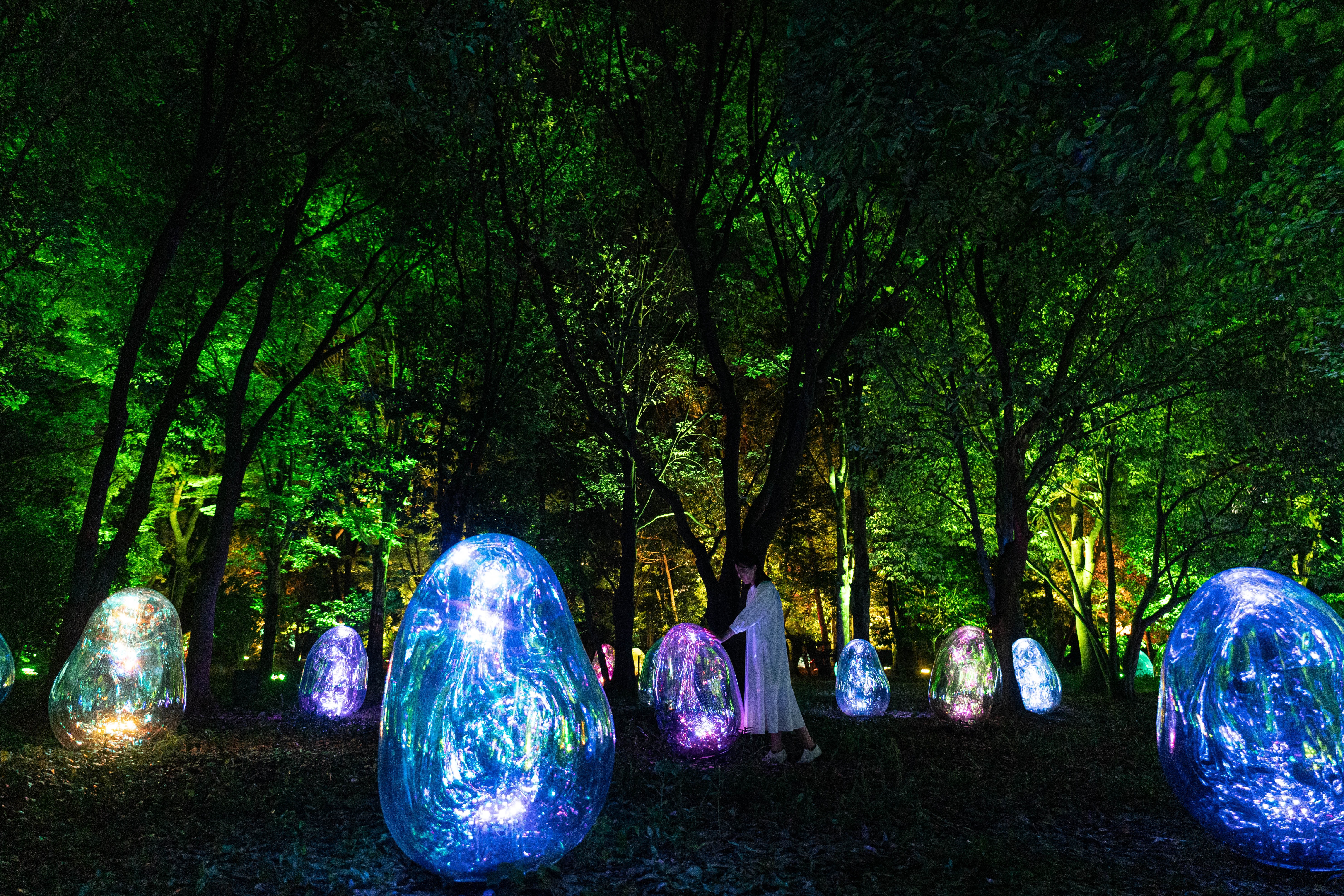 teamLab Botanical Garden (Osaka)