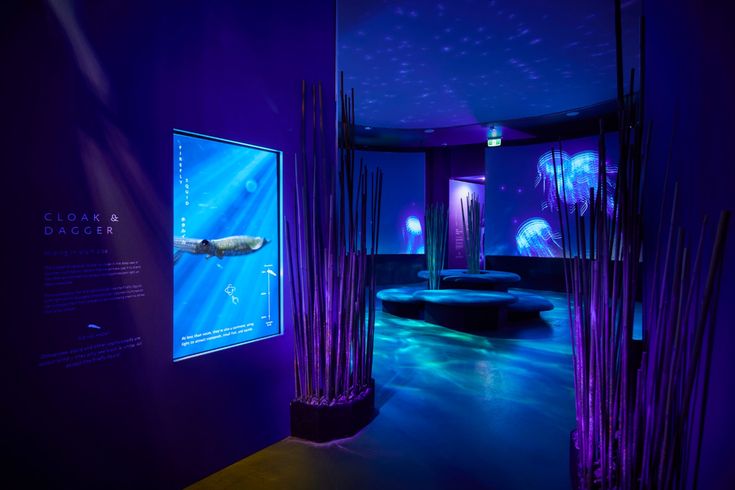SEA LIFE Melbourne Aquarium Tickets