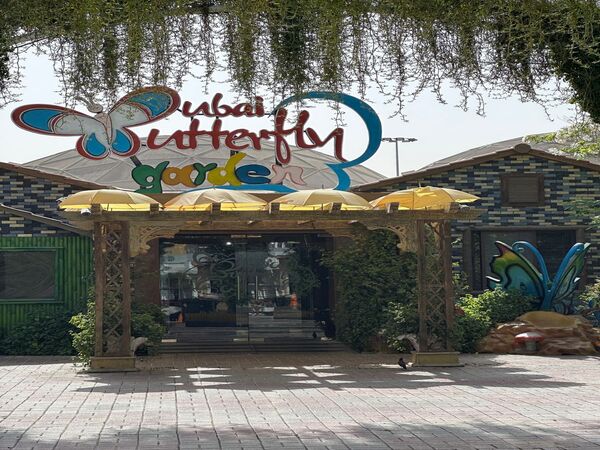 Dubai Butterfly Garden Entry Tickets