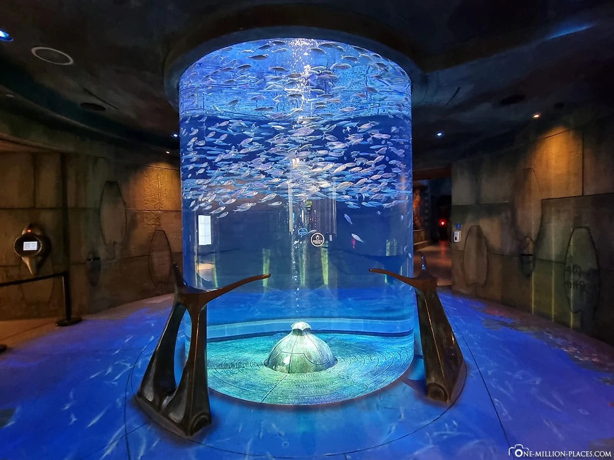 Lost Chambers Aquarium Dubai Entry Ticket