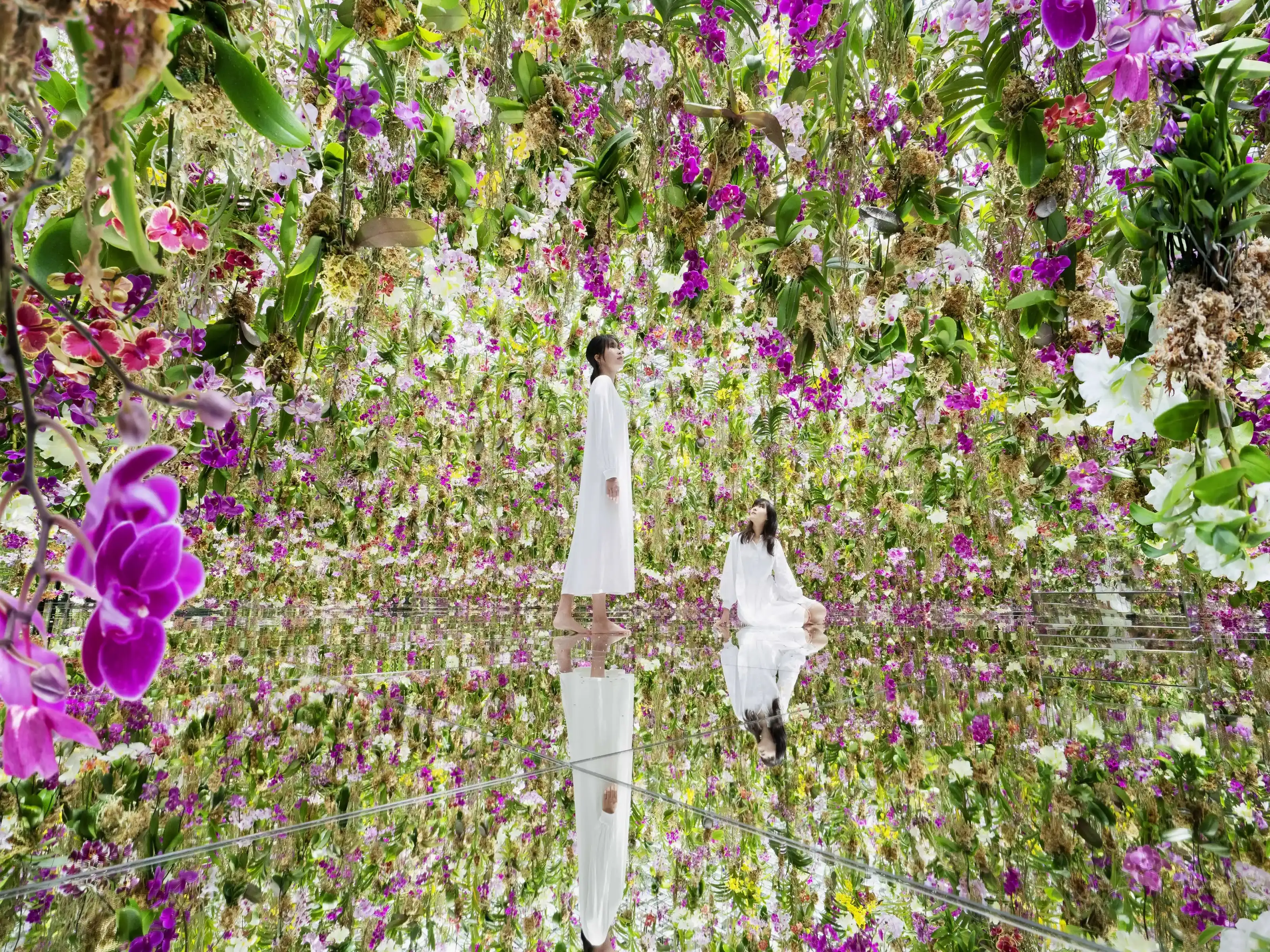 TeamLab Planets Admission Tickets