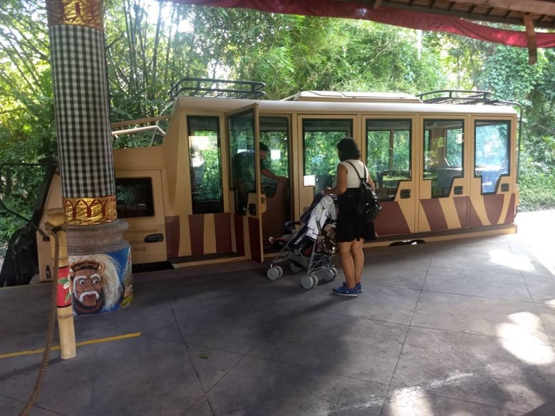 Bali Safari Park General Admission Ticket