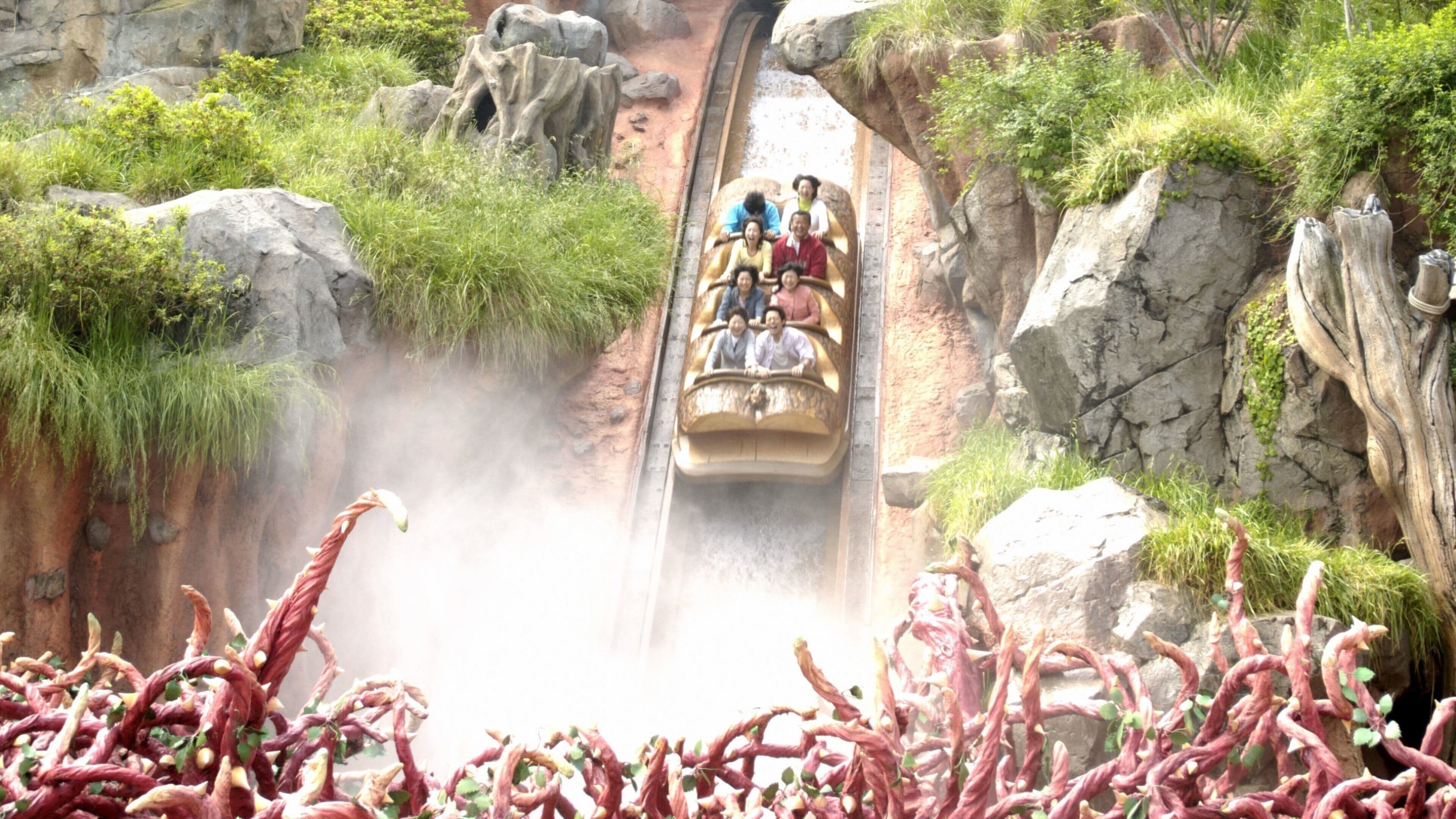Tokyo Disneyland Admission Tickets
