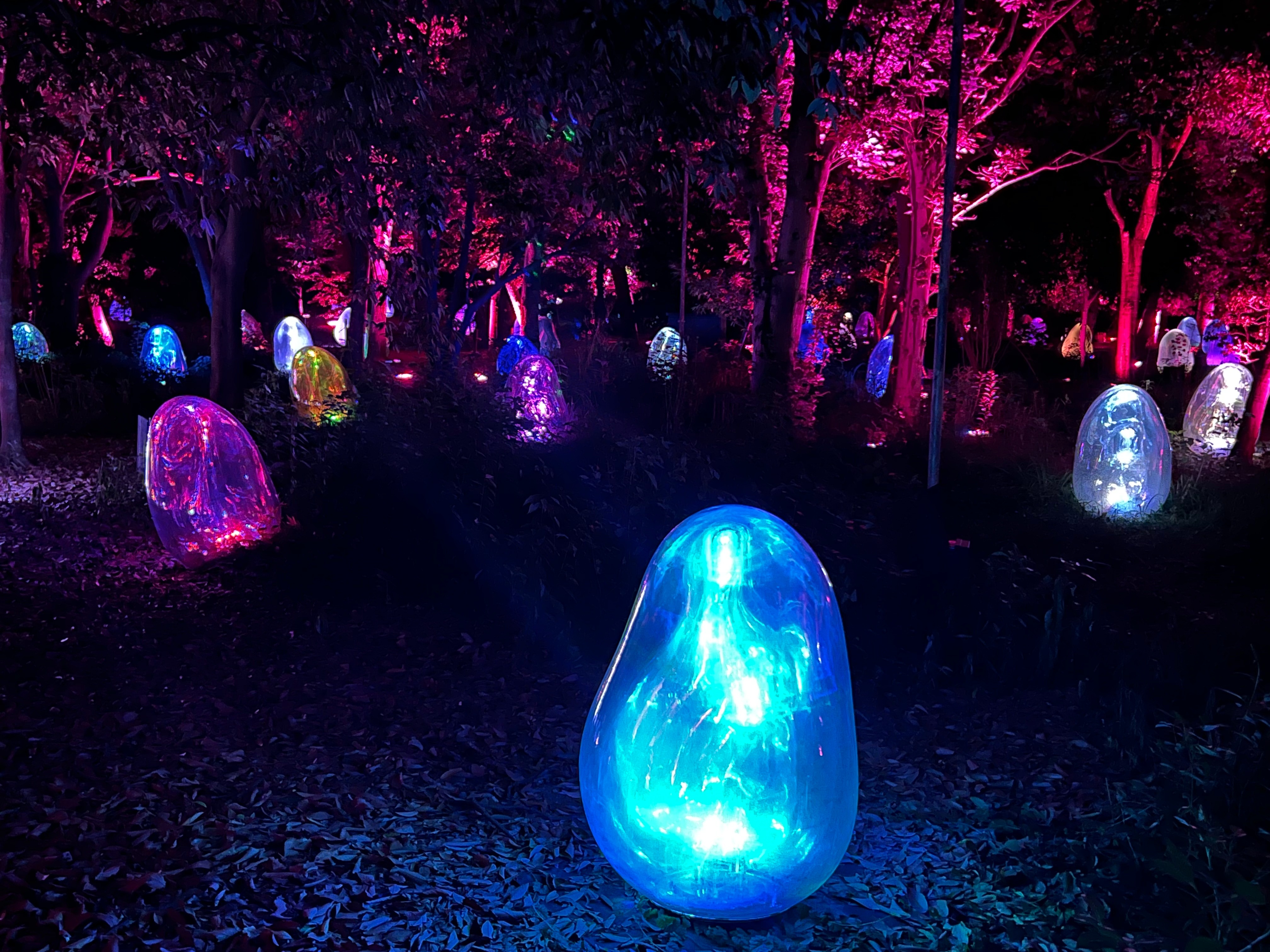 teamLab Botanical Garden (Osaka)