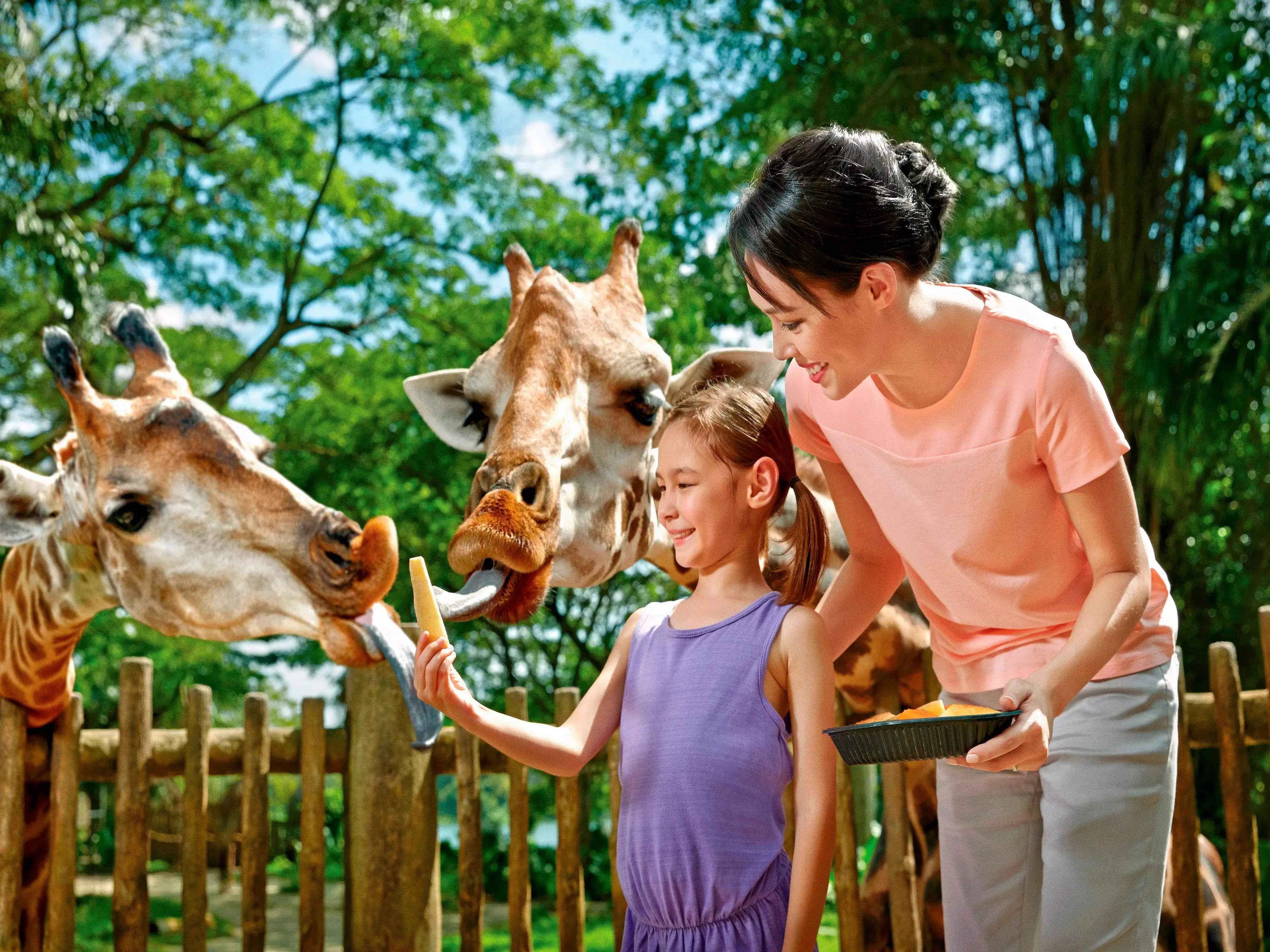 Singapore Zoo Admission Ticket