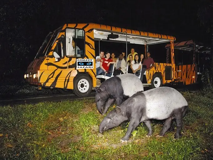 Singapore Night Safari Admission Ticket