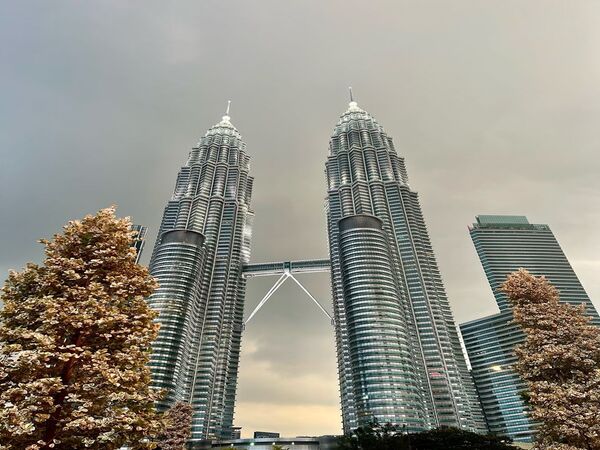 Petronas Twin Towers Timed-Entry Ticket