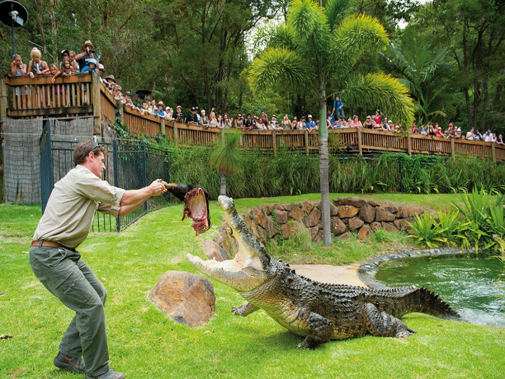Currumbin Wildlife Sanctuary General Entry Ticket