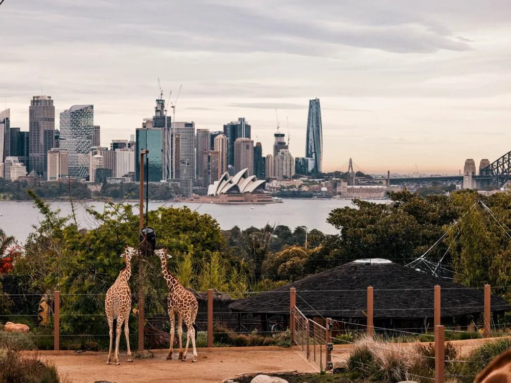 WILD LIFE Sydney Zoo General Entry Ticket