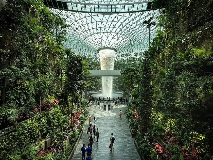 Cloud Forest Gardens by the Bay Entry Ticket